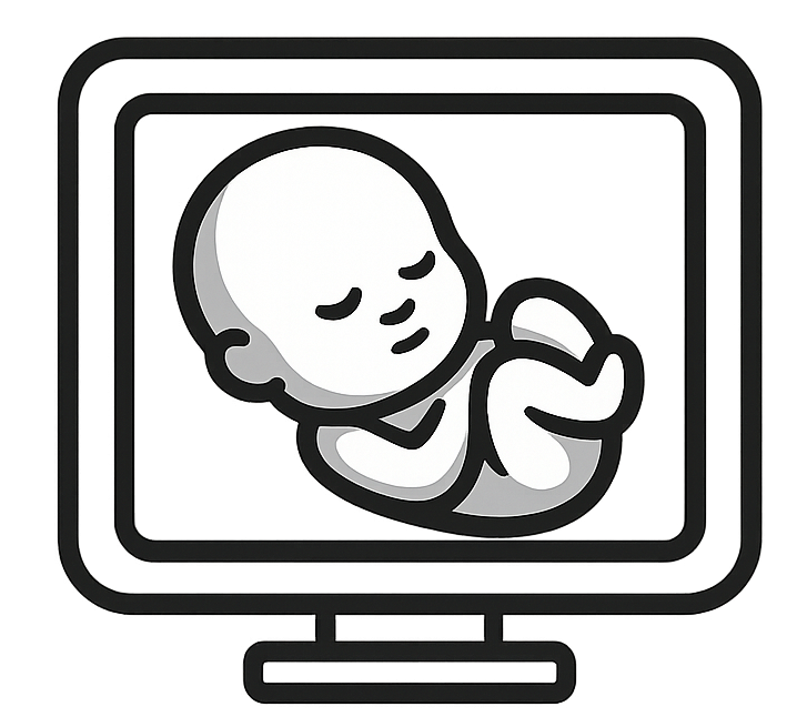 3D/4D SCAN 24-32 WEEKS 