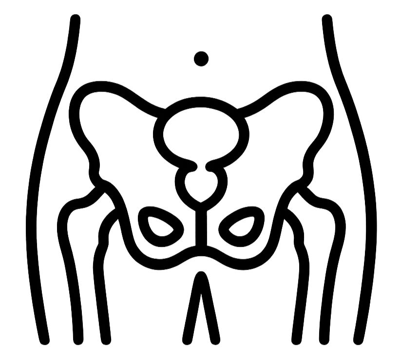 PELVIS MALE (PROSTATE AND BLADDER)